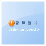 光電元件應用整合諮詢服務